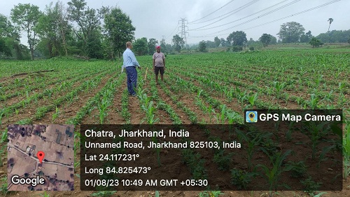 chatra