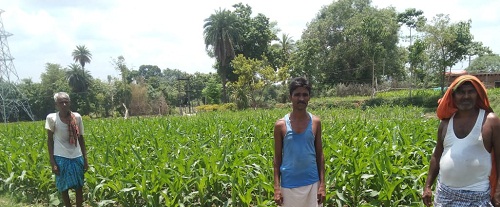 chatra